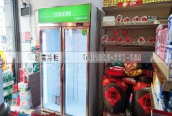 展示柜-四川雙開門飲料冷藏柜選購